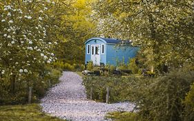 Tiny Houses Bij De Compagnons